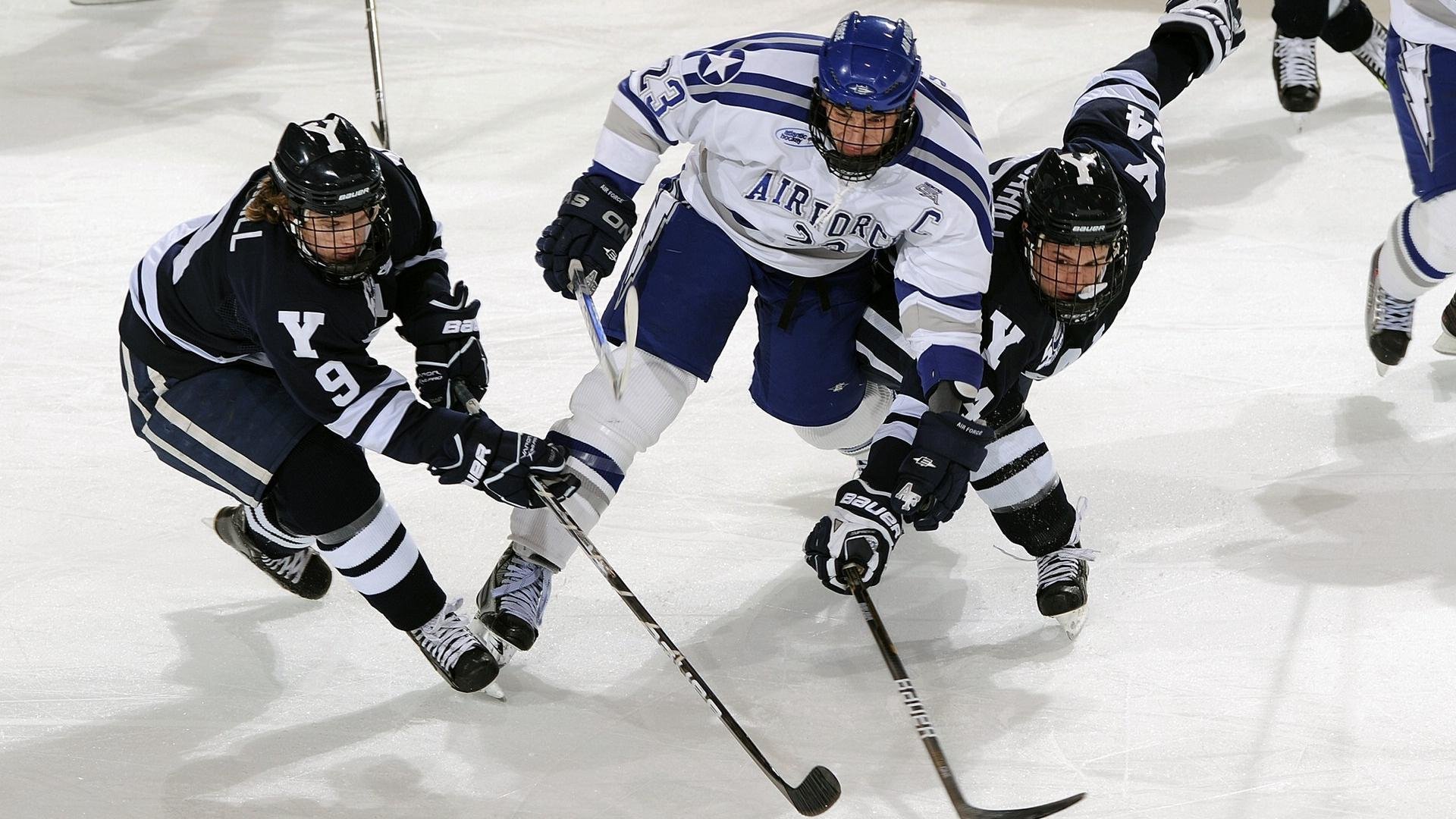 运动装备安全标准实施效果评估,运动装备安全标准实施效果评估包括