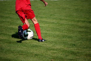 爱游戏体育-篮球运动员心理韧性培养与干预体系，篮球运动员的心理选材